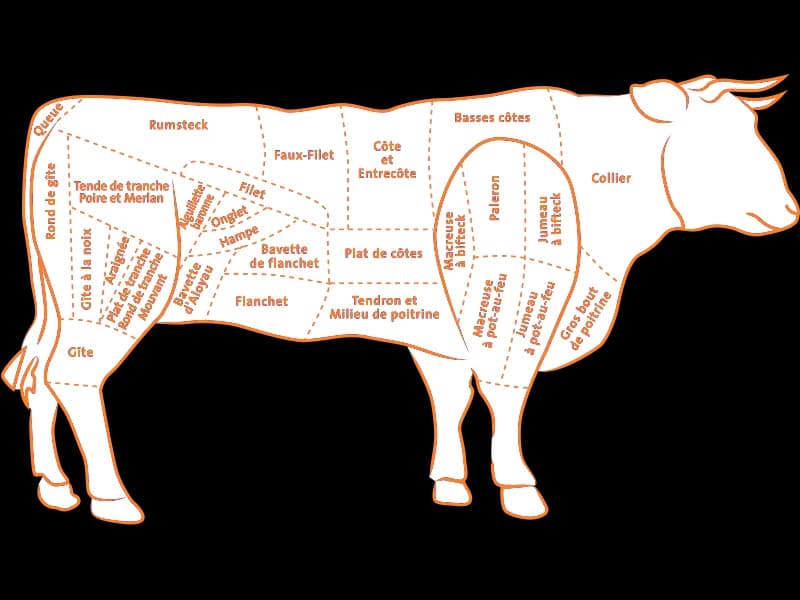Schéma des morceaux du bœuf en profil (découpe française), libellés en orange